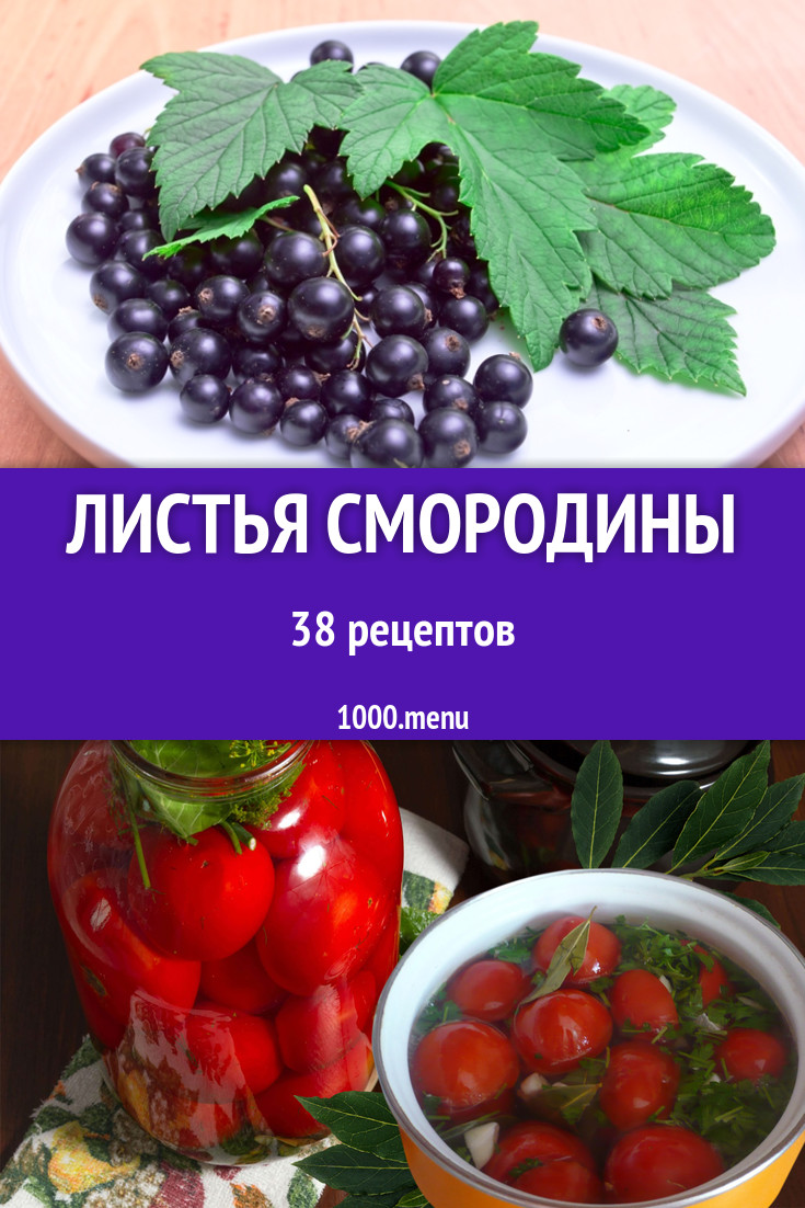 Блюда с листьями смородины - 92 рецепта приготовления пошагово - 1000.menu