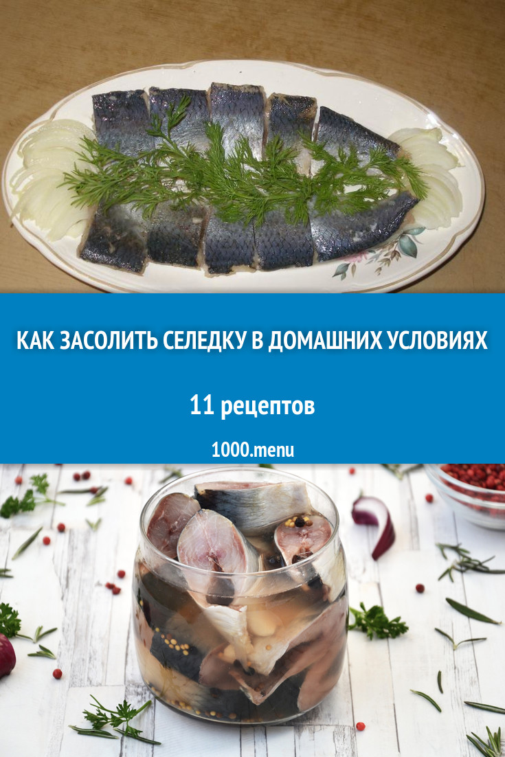 Как засолить селедку в домашних условиях 14 рецептов - 1000.menu