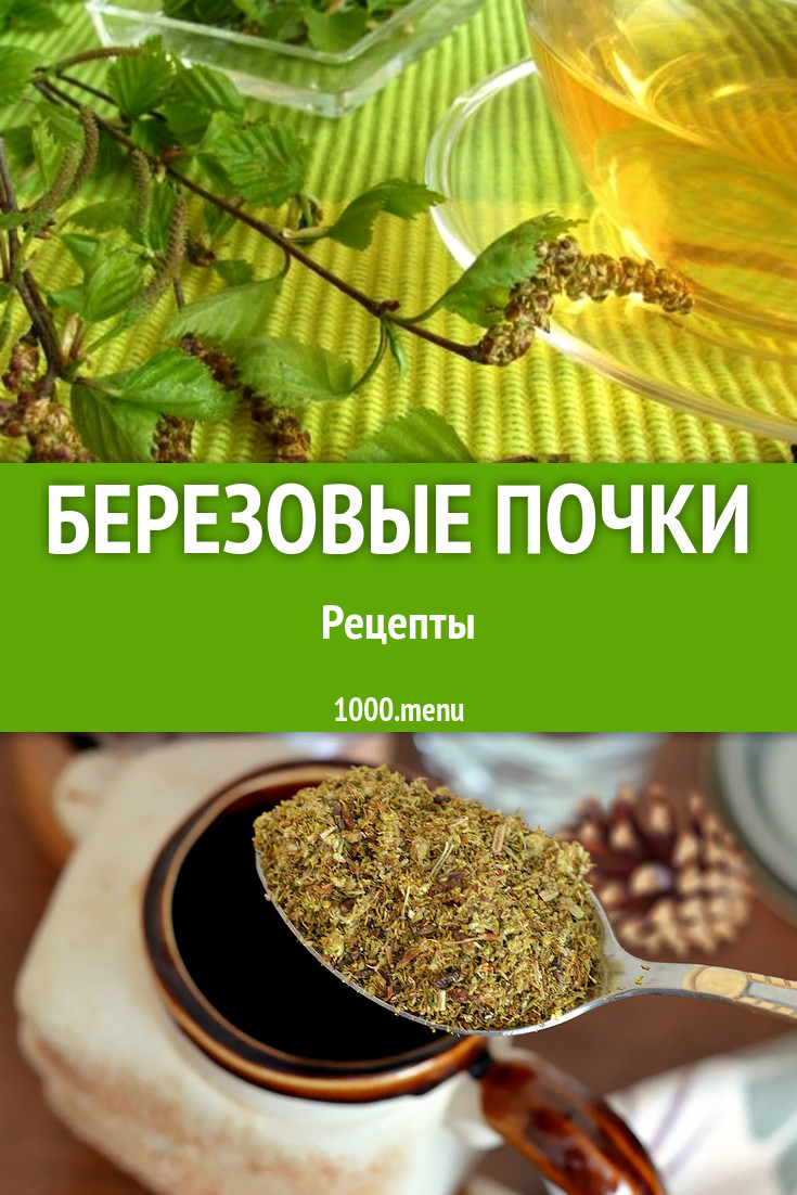 Блюда с берёзовыми почками - 2 рецепта приготовления пошагово - 1000.menu