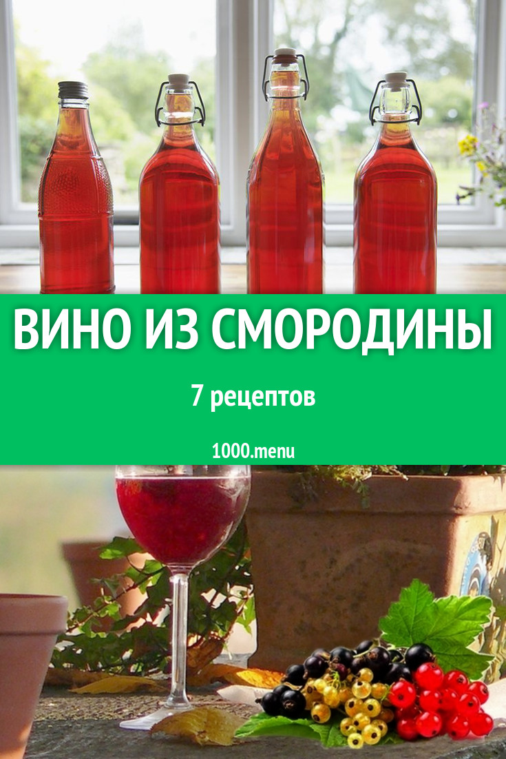 Вино из смородины черной в домашних условиях 8 рецептов - 1000.menu