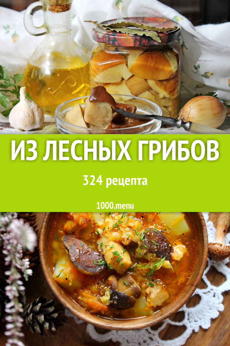 Из лесных грибов 339 рецептов - 1000.menu