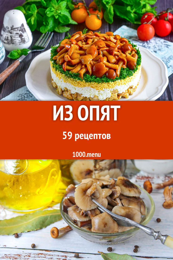 Блюда с опятами - 59 рецептов - 1000.menu