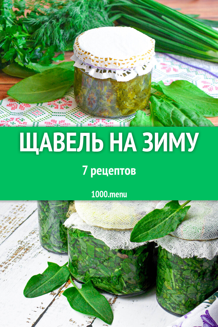 Заготовки щавель на зиму - 7 рецептов - 1000.menu