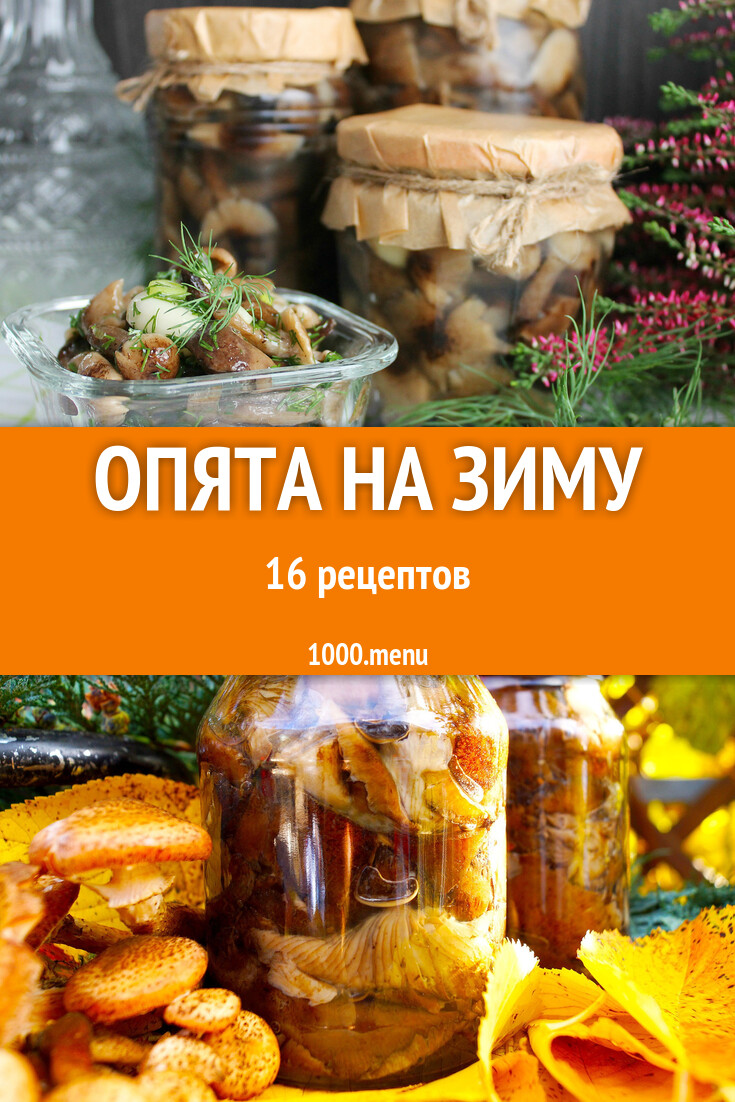 Заготовка опята на зиму - 14 рецептов - 1000.menu