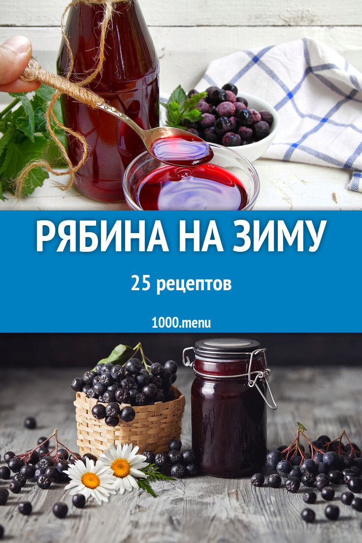 Красная и черная рябина на зиму - 25 рецептов - 1000.menu