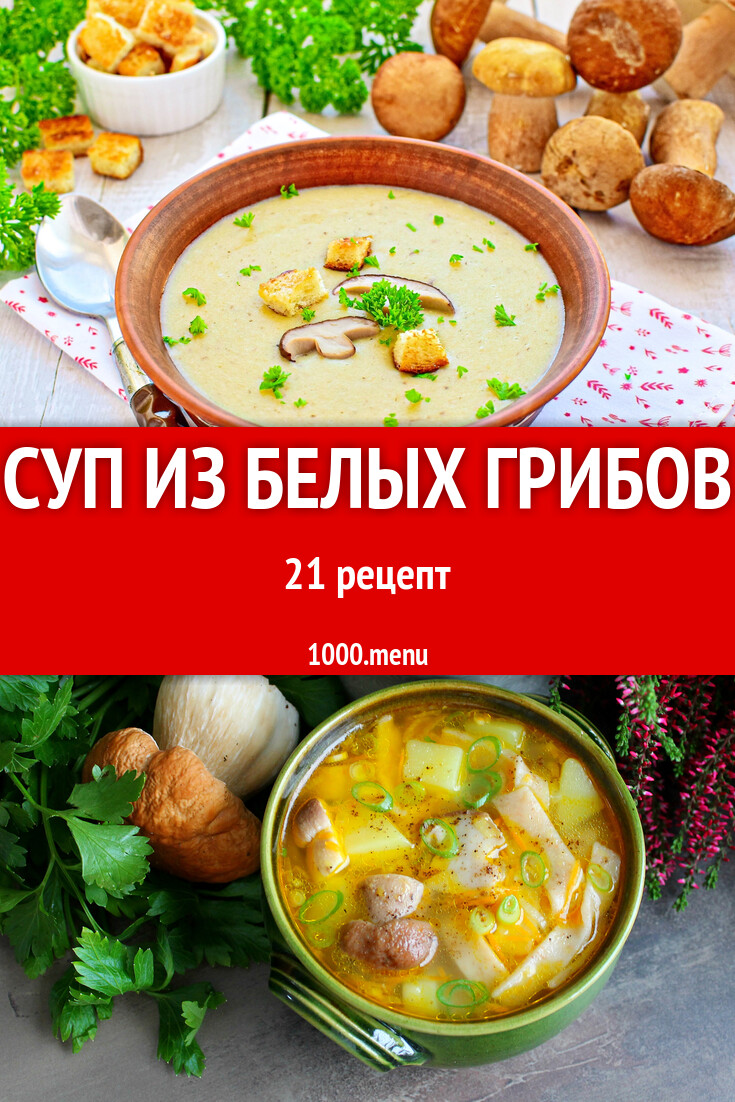 Суп из белых грибов - 21 рецепт - 1000.menu