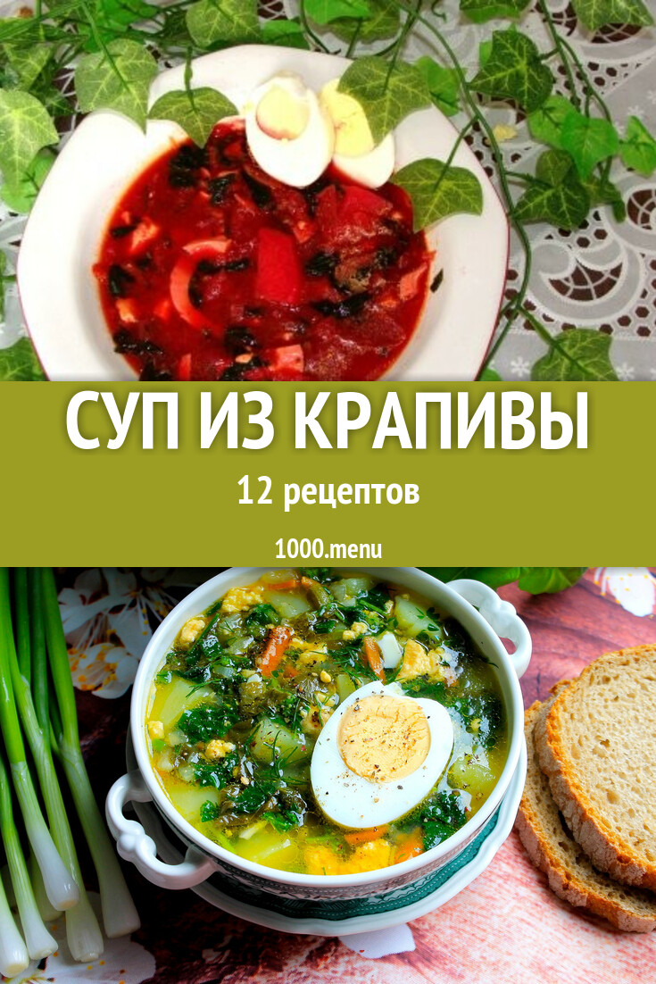 Крапивный суп из крапивы 14 рецептов - 1000.menu