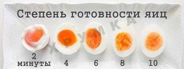 Яйца вкрутую: сколько варить, чтобы было круто