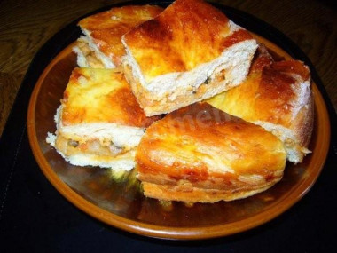 Дрожжевые пироги с мясом капустой и грибами