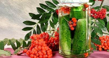 Пикантная рябинка к праздничному застолью