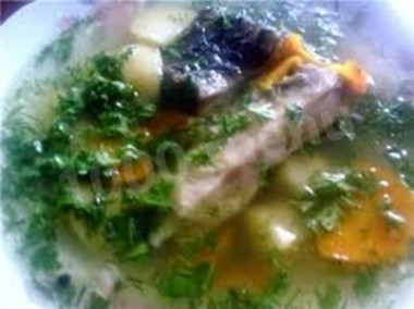 Уха горская из форели с тархуном