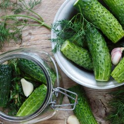 Лето пахнет огурцами. 7 оригинальных рецептов малосольных овощей