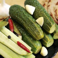 Малосольные огурцы: рецепты хрустящих огурцов быстрого приготовления