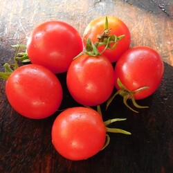 За такие закуски из помидор, муж готов меня расцеловать, неделю готовила, пока не наелся...