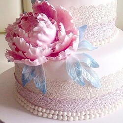 Мастика: Как можно реанимировать мастику?