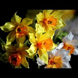 Цветок НАРЦИССА из лент, КАНЗАШИ, мастер класс / Ribbon Flower Kanzashi