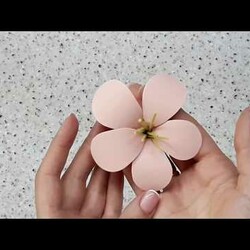 Красивый шоколадный цветок