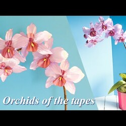 Орхидея из Ленты . Подарочный горшочек / Orchids of the tapes. tutoria. gift pot