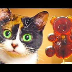 КАК СДЕЛАТЬ СОСАТЕЛЬНУЮ КОНФЕТУ