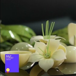 ВЕСЬ ШОКОЛАДНЫЙ ДЕКОР и работа с шоколадом! Шеф-кондитер Майя Климина