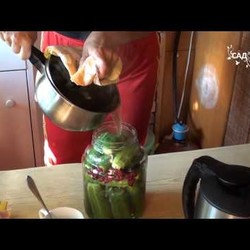 Почему взрываются огурцы. Сайт "Садовый мир"