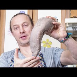 Как правильно готовить Говяжий язык и что с ним делать. Закуска на Новый год.