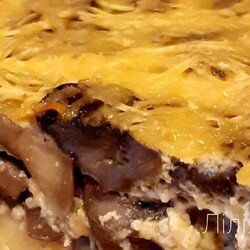 Пиріг на картопляному тісті з печерицями та куркою - покроковий рецепт з фото. Автор рецепта Лілія Мацько .