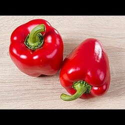 5 РЕЦЕПТОВ, которые обязательно стоит попробовать! Закуски из ПЕРЦА
