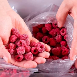 Малина на зиму: 25 лучших способов приготовления — читать на Gastronom.ru