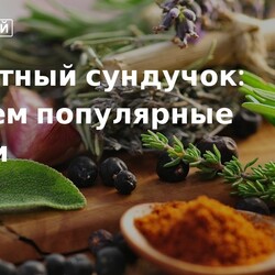 Гид по специям: какие ароматные приправы к каким блюдам подходят