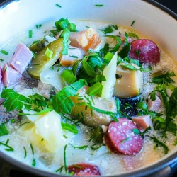 Солянка мясная рецепт 1861 года / Селянка мясная