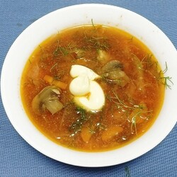 Щи со свининой и грибами