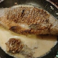 Сазан тушёный в сметане на сковороде