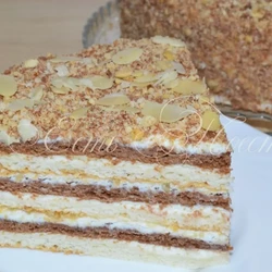 Торт Мишка на севере (без яиц). - рецепт автора Ольга Иванченко (Тимошенко)