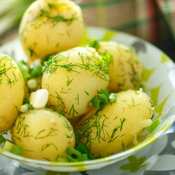 Картошка на пару в мультиварке. Как приготовить картошку на пару в мультиварке