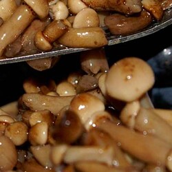 Икра Из Соленых Груздей