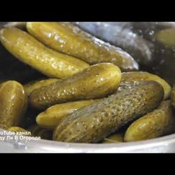 ЯДРЕНЫЕ, ХРУСТЯЩИЕ СОЛЕНЫЕ ОГУРЦЫ КАК ИЗ БОЧКИ. ХРАНЮ БЕЗ ПОГРЕБА, В КВАРТИРЕ, В СТЕКЛЯННЫХ БАНКАХ.