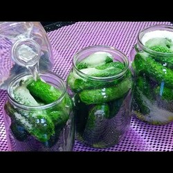 Всё засыпала в банку, 10 мин. и Готово! Самые вкусные огурчики на зиму в 1 л. банке.