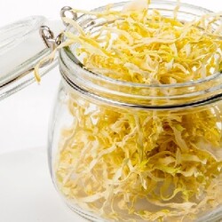 Капуста сушеная: польза, способы сушки, использование продукта в приготовлении блюд