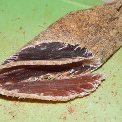 Билтонг в домашних условиях