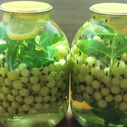 Мохито из зеленого крыжовника в трехлитровых банках