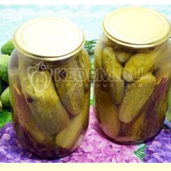 Маринованные огурцы в литровых банках