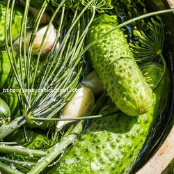 Малосольные огурцы рецепт классический