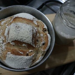 «Вечная» закваска