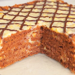 Нежный шоколадный торт без выпечки с курагой