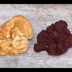 строчки и сморчки