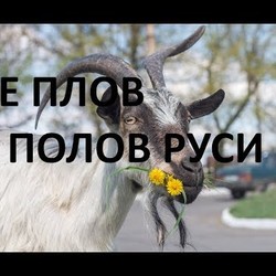 Не плов а полов Руси  из козлятины от деда Фильм 21 АЗ БУКА ИЗТИНЫ