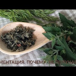 Ферментация. Основные ошибки. травы, хвоя, листья