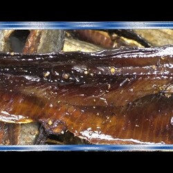 ВЯЛЕНАЯ СЕЛЁДКА, ВКУСНЕЕ ЧЕМ КОПЧЁНАЯ ИЗ МАГАЗИНА, Рецепты из рыбы от fisherman dv.27rus