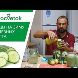 Готовим ОГУРЦЫ НА ЗИМУ по науке. Полезнее свежих!